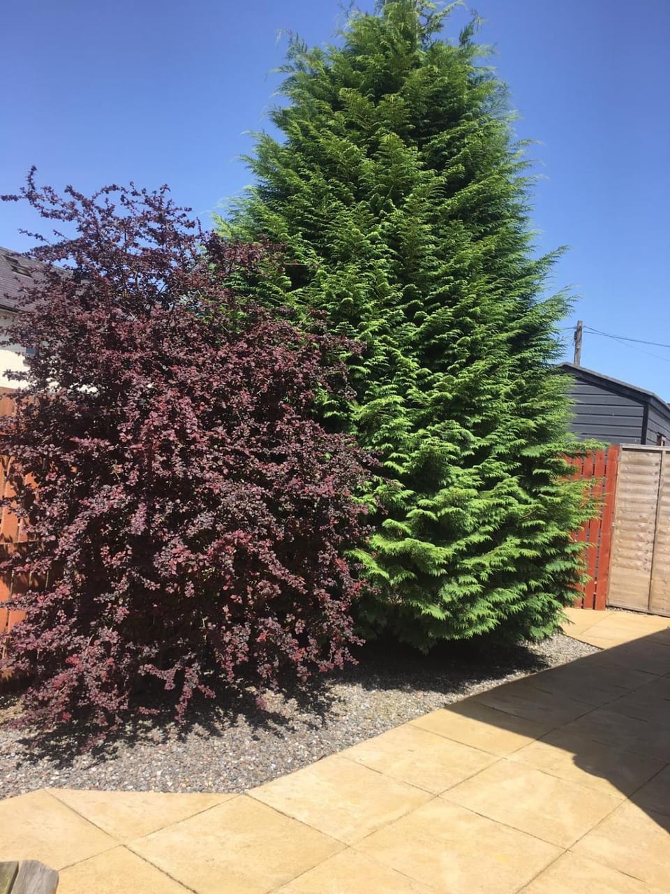 Garden, Garden view