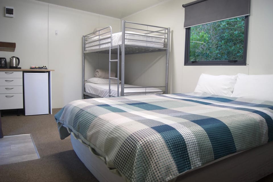 Bed, Kitchen or kitchenette, bunk bed