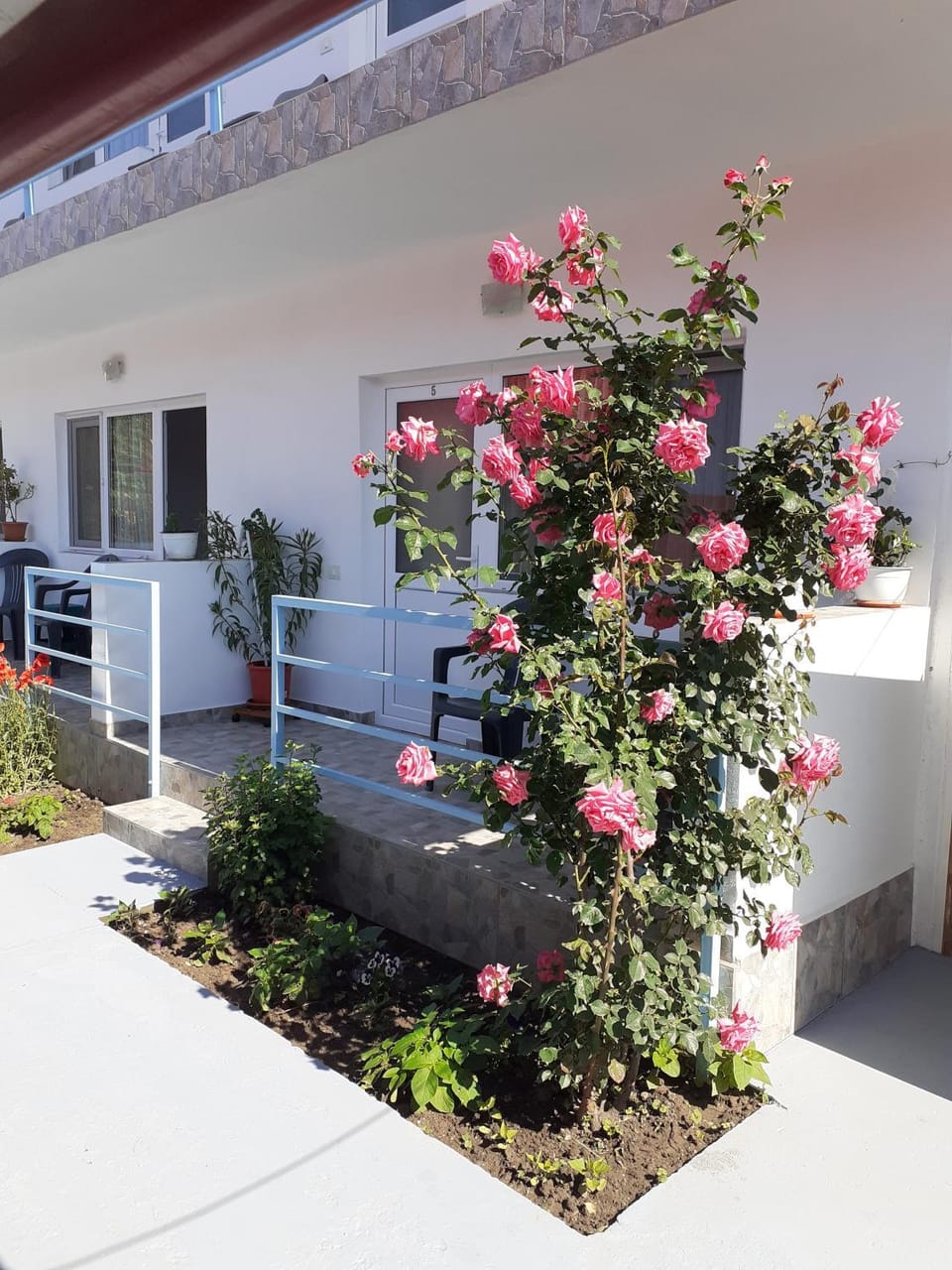 Property building, Garden, Garden view
