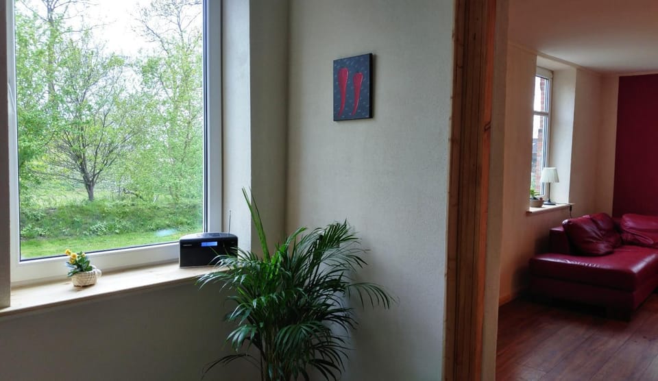 Kitchen or kitchenette, Garden view