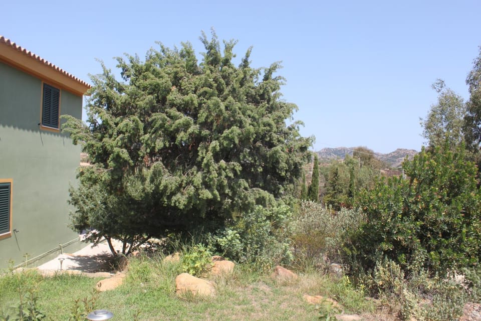 OroVilla Vera House in Sardinia