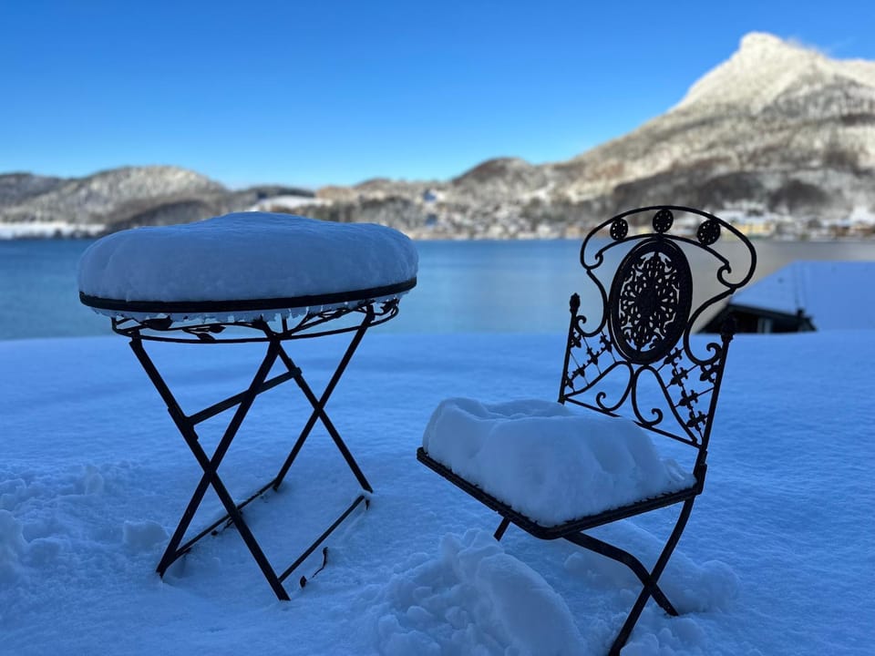Winter, Garden, Mountain view