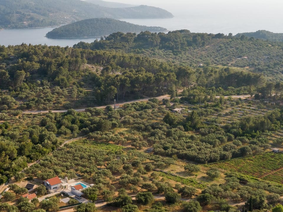 Villa Barbara - Olive Paradise, with chlorine-free pool Villa in Dubrovnik-Neretva County