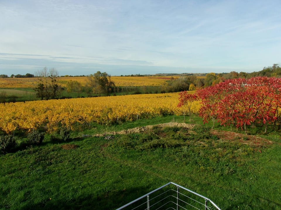 Natural landscape