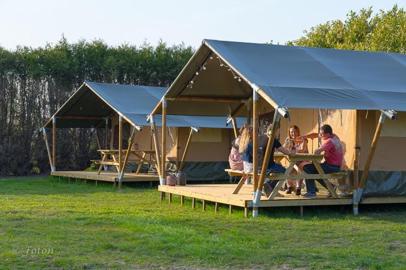 Rosy Garden Luxury tent in Flanders