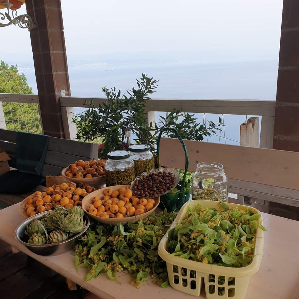 Mary's Garden House in Lovran