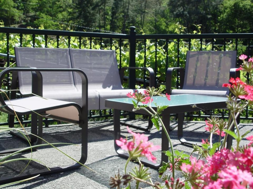 Casa en Viñoas (Ribeira Sacra) House in Galicia