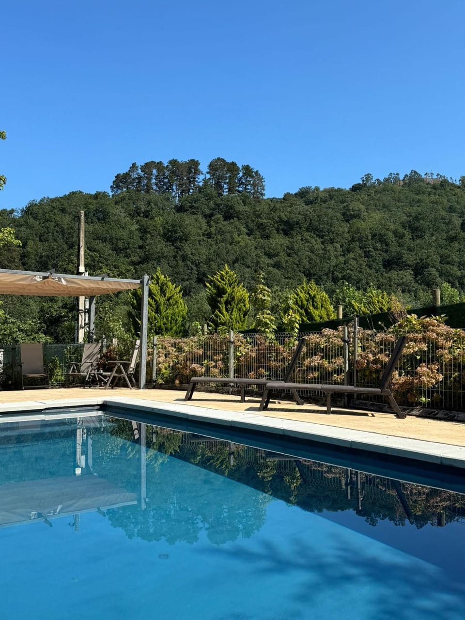 Natural landscape, Pool view, Swimming pool, Swimming pool