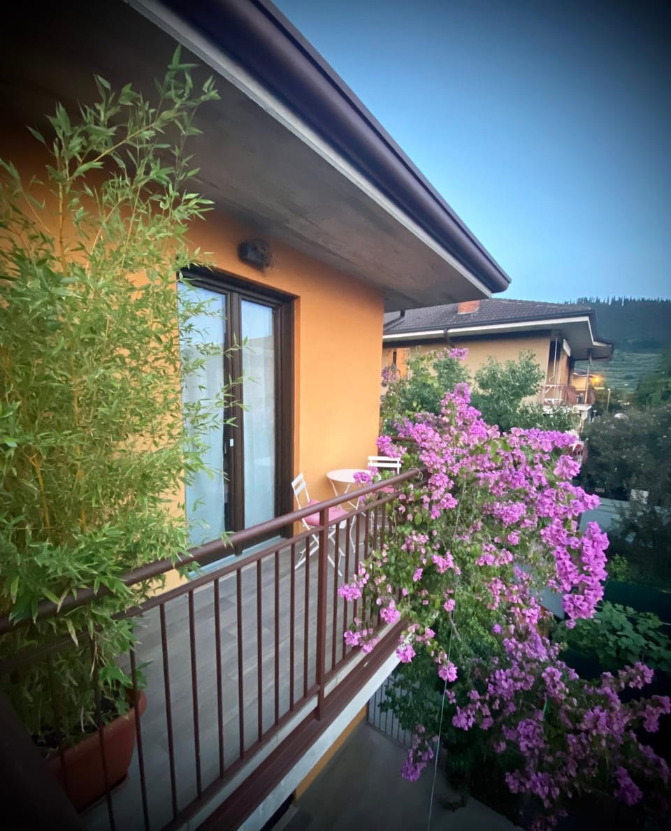 Property building, Balcony/Terrace