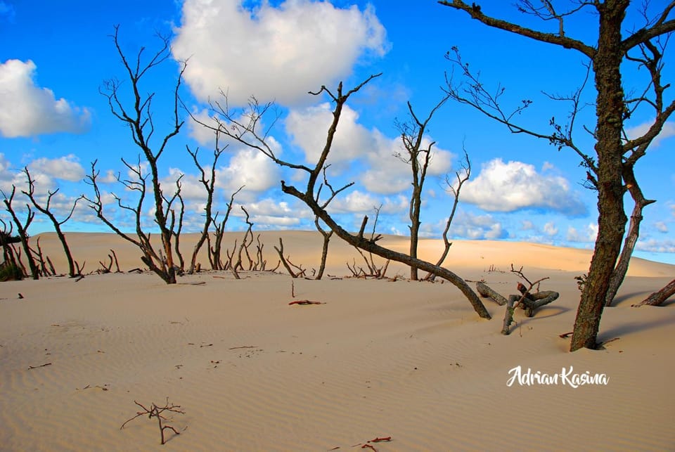 Day, Natural landscape