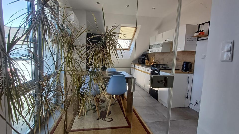 Kitchen or kitchenette, oven, pet friendly, toaster