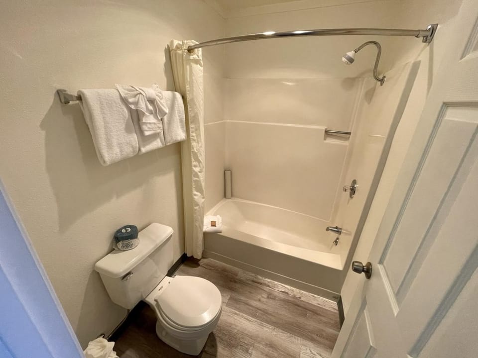 Shower, Toilet, Bathroom, Bath