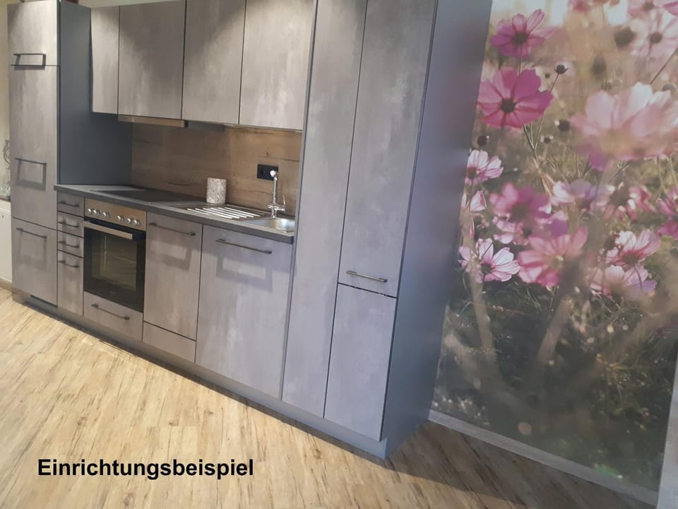 Kitchen or kitchenette, kitchen