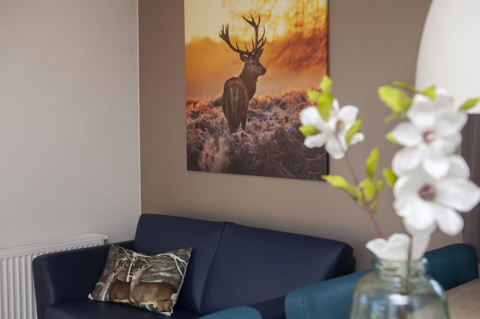 6 pers. Veluwelodge XL met Sauna Apartment in Gelderland, Netherlands