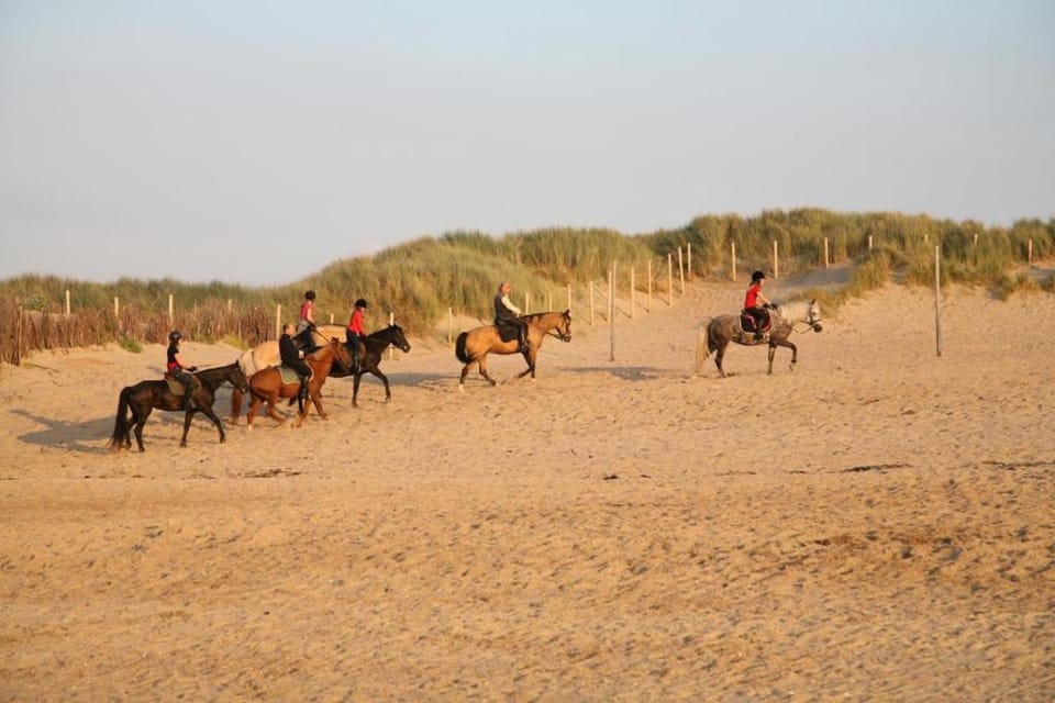 Appartement Dahlia Terras Apartment in Bredene