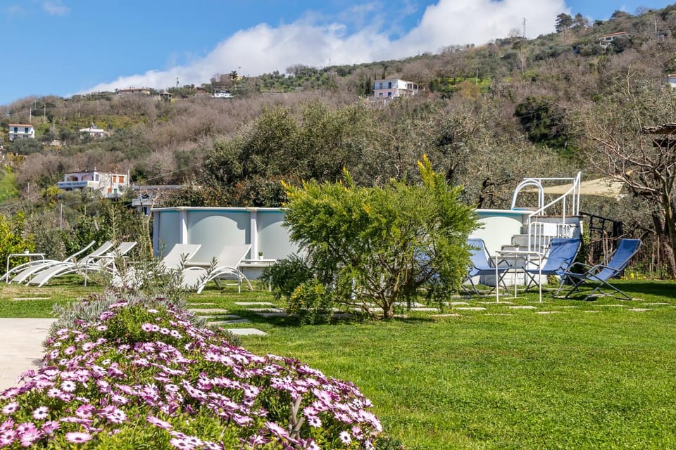 Garden, Solarium, Swimming pool