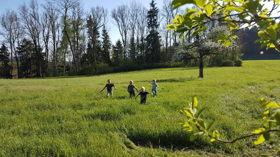 Auszeit auf dem Lindenhof Apartment in Wangen im Allgäu