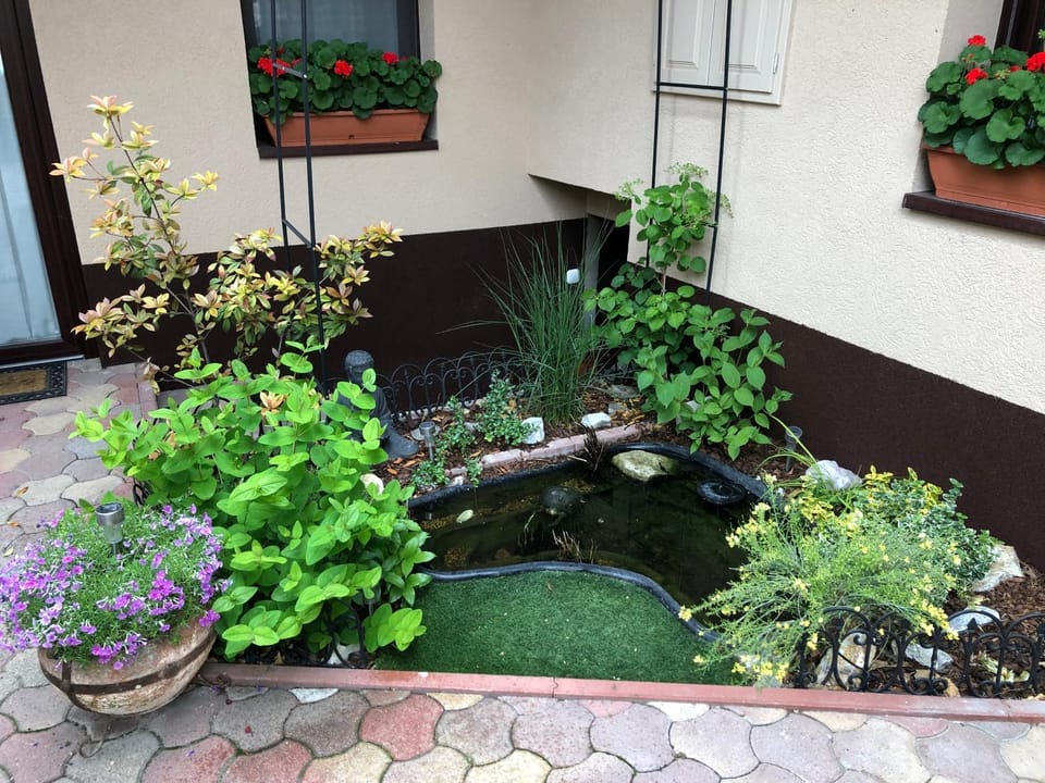 Spring, Garden, Garden view