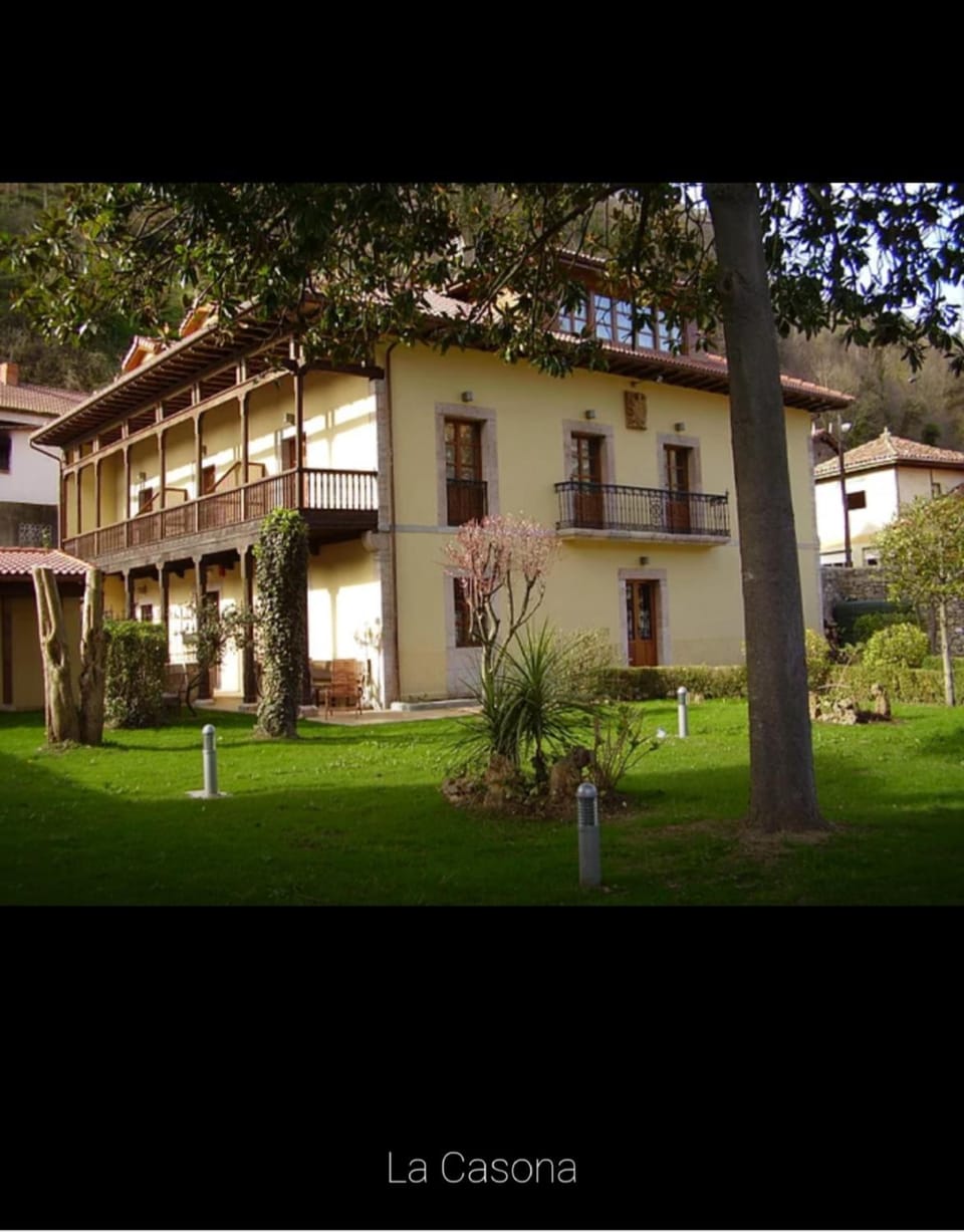 Property building, Garden