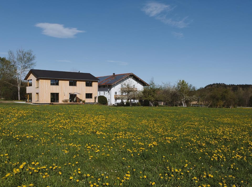 Ferienhaus Schmidhuber Apartment in Salzburgerland