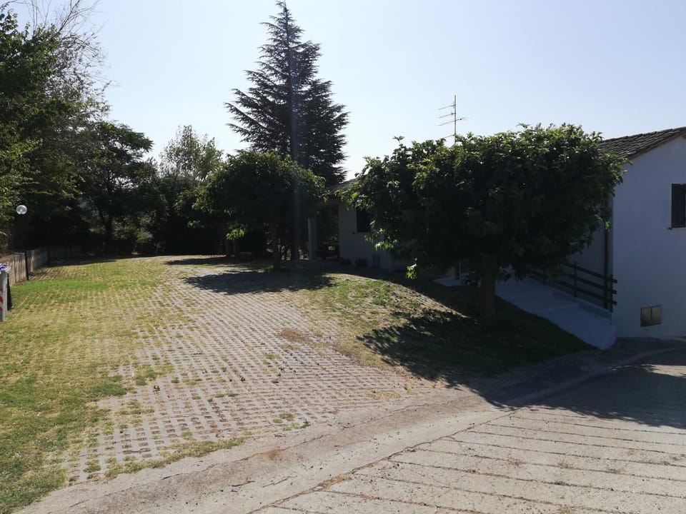 Property building, Garden