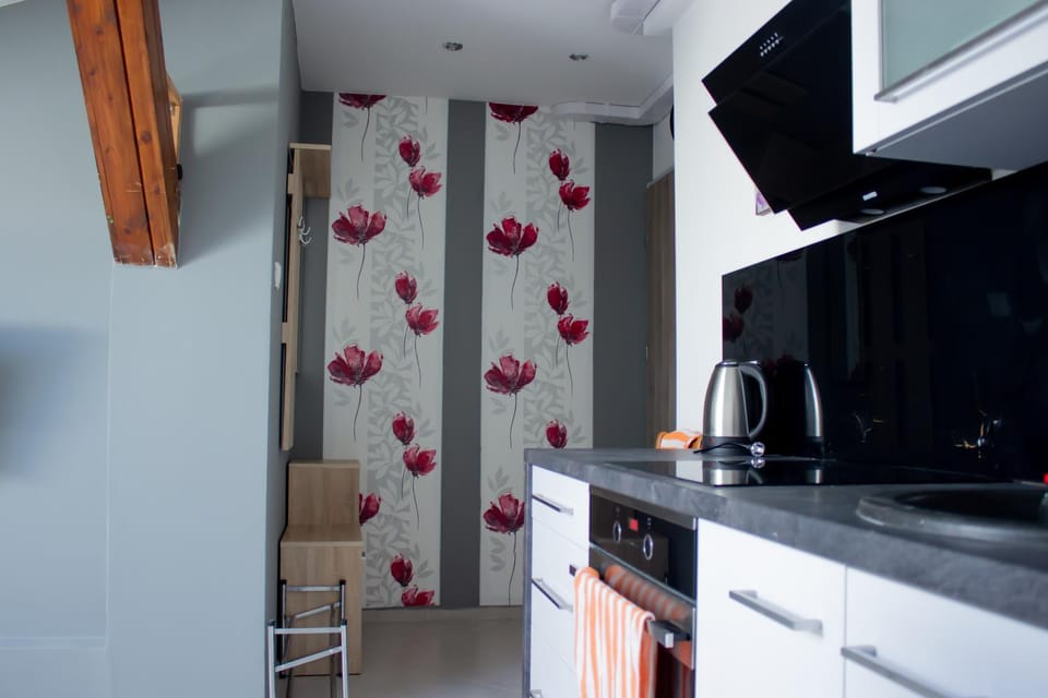 Kitchen or kitchenette, oven