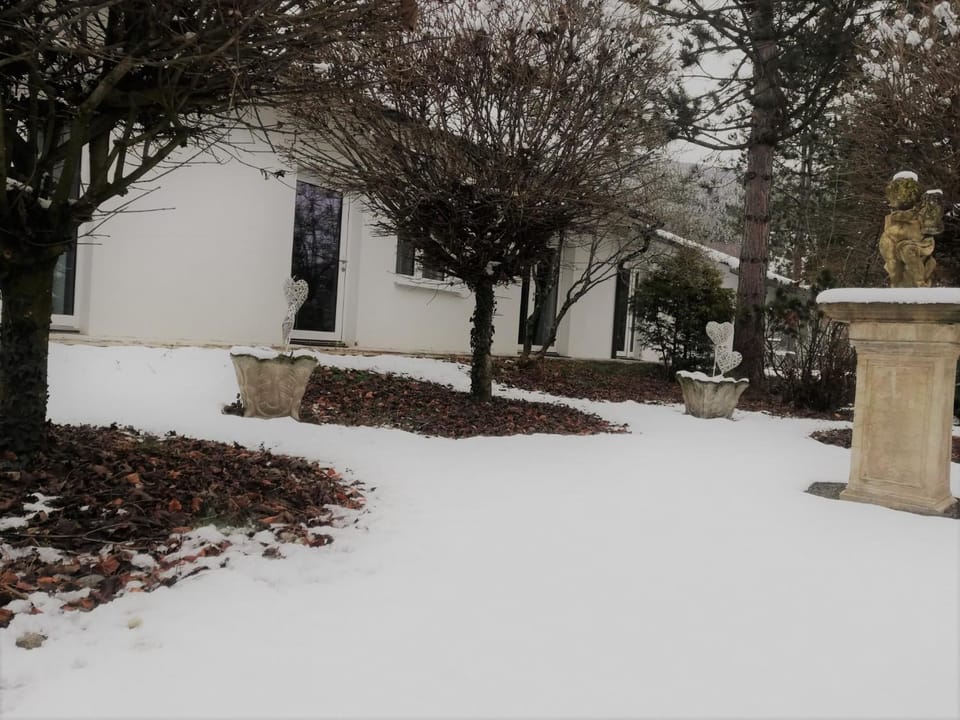 Property building, Garden