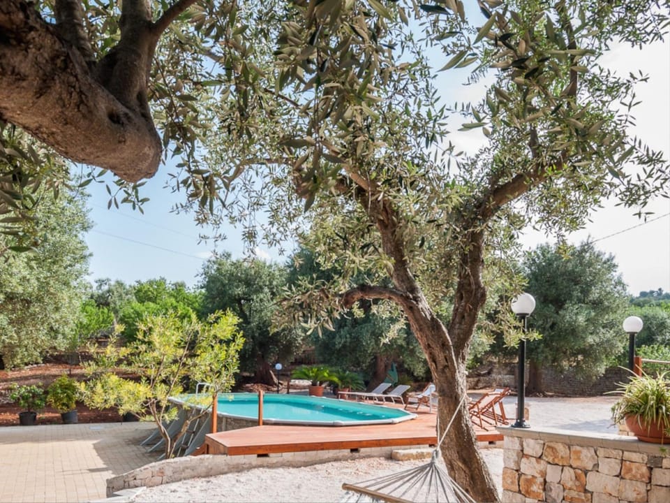 Garden, Swimming pool