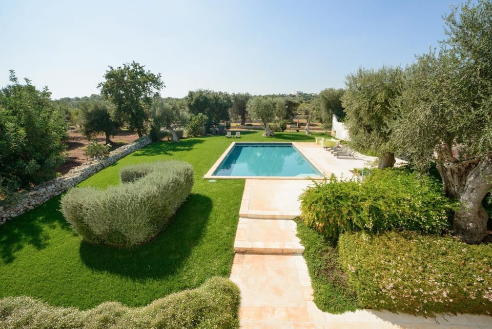 Garden, Swimming pool