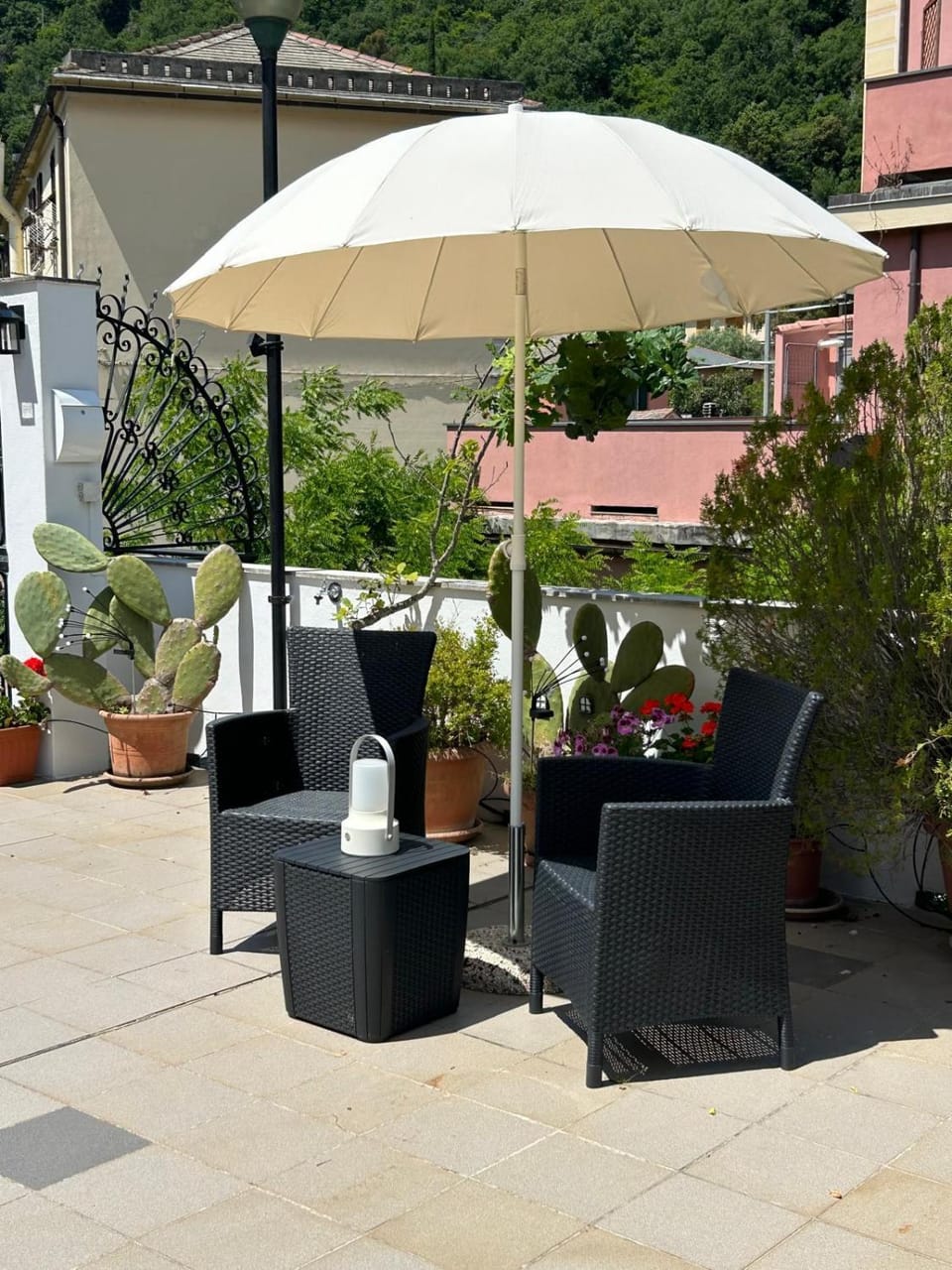 Patio, Garden