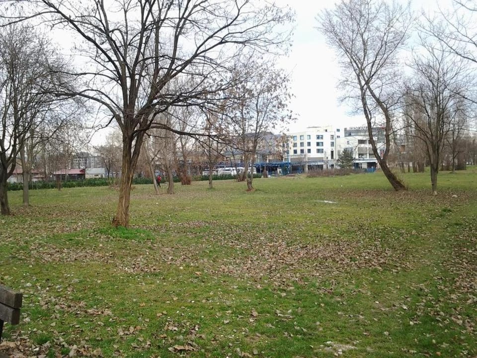 Location, children, Family