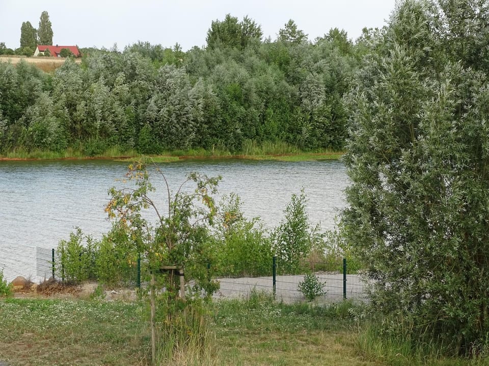 Lake view