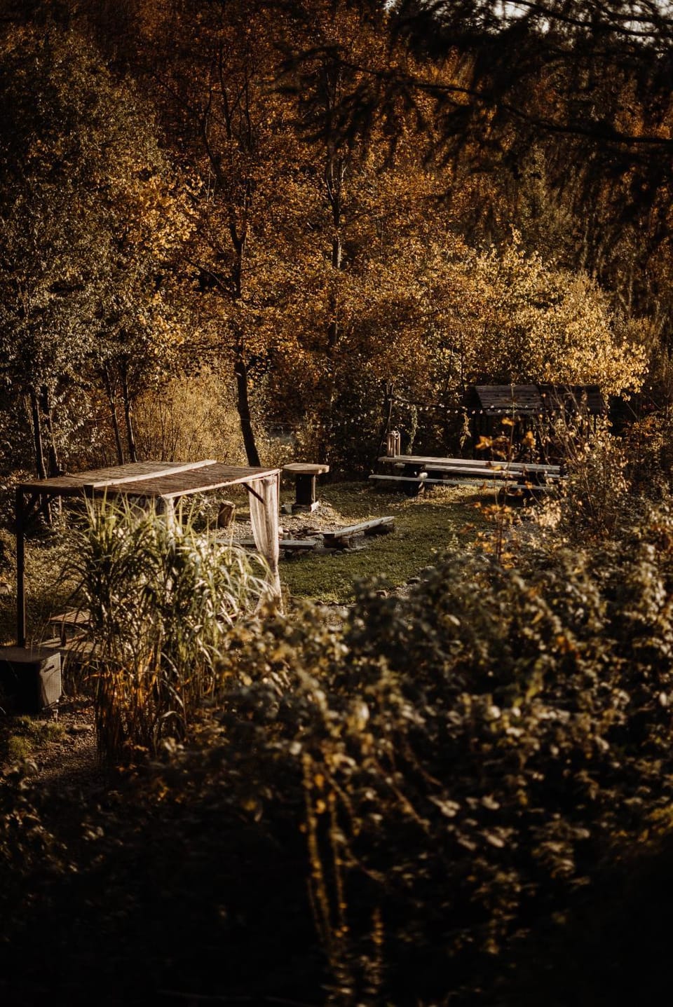 Day, Natural landscape, Garden, Garden view, River view