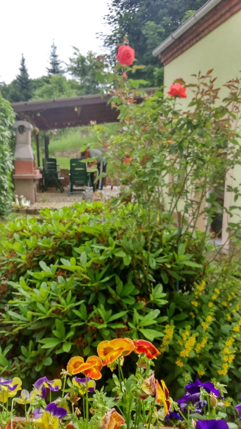 Giesis Wohlfühloase Vacation rental in Saxony