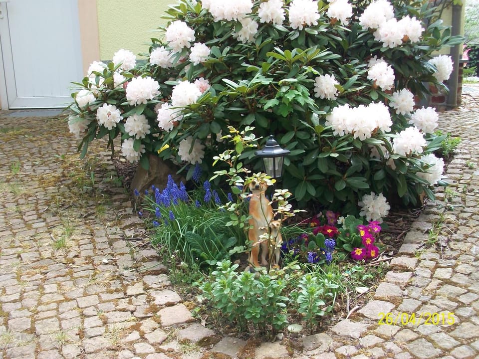 Giesis Wohlfühloase Vacation rental in Saxony