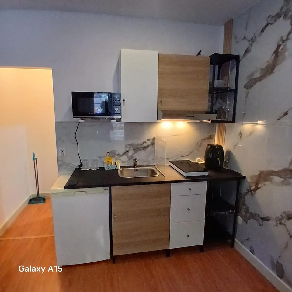 Villa Regio Studio Kitchen & Garden Vacation rental in Porto District