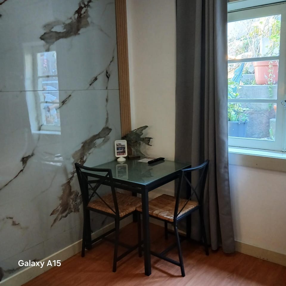 Villa Regio Studio Kitchen & Garden Vacation rental in Porto District