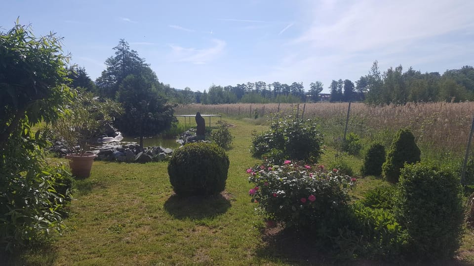Ferienhaus am Teich Nature lodge in Nordhausen