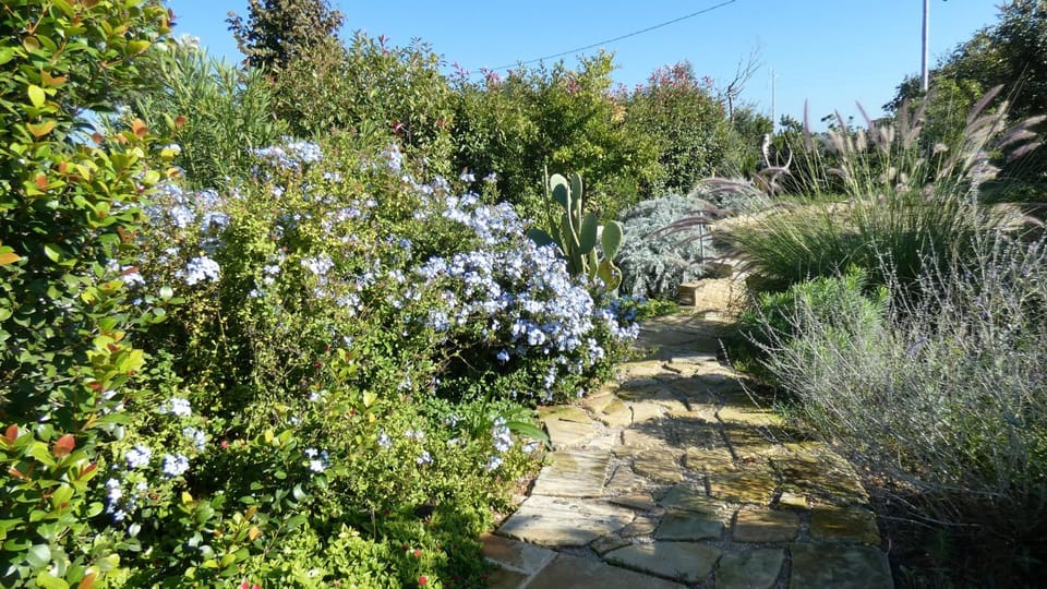 Garden, Garden view
