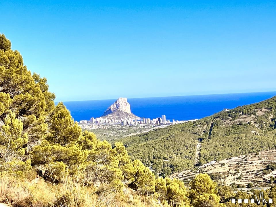 View (from property/room)