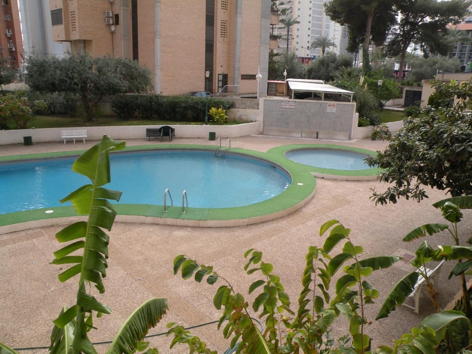 Swimming pool, Swimming pool