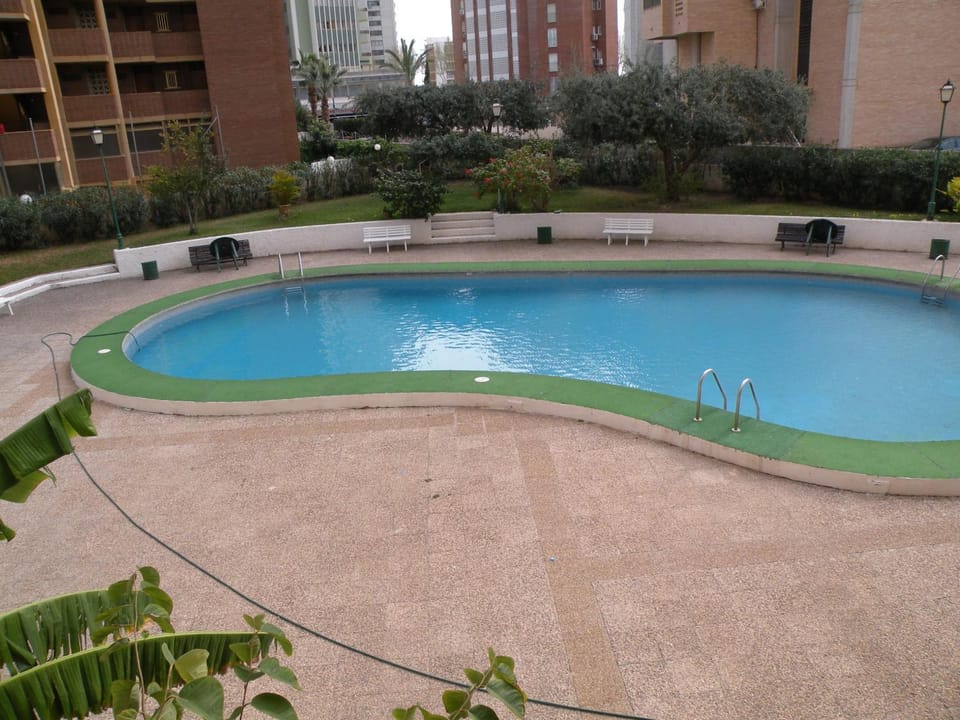 Swimming pool, Swimming pool