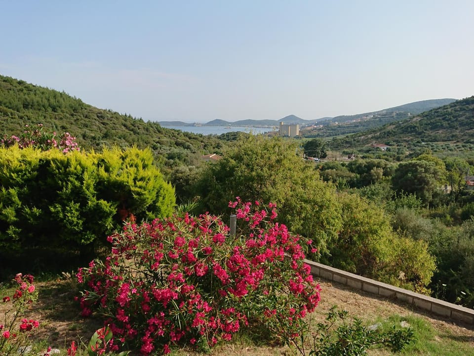 Natural landscape, Garden, Garden view