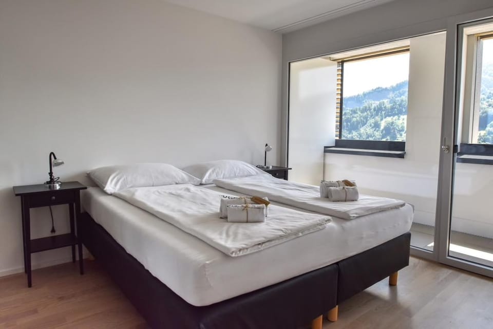 Dream View Apt With Homecinema Netflix & Loggia Apartment in Lucerne
