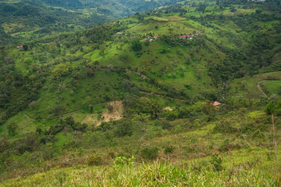 Natural landscape