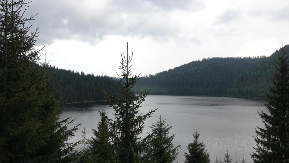 Lake view