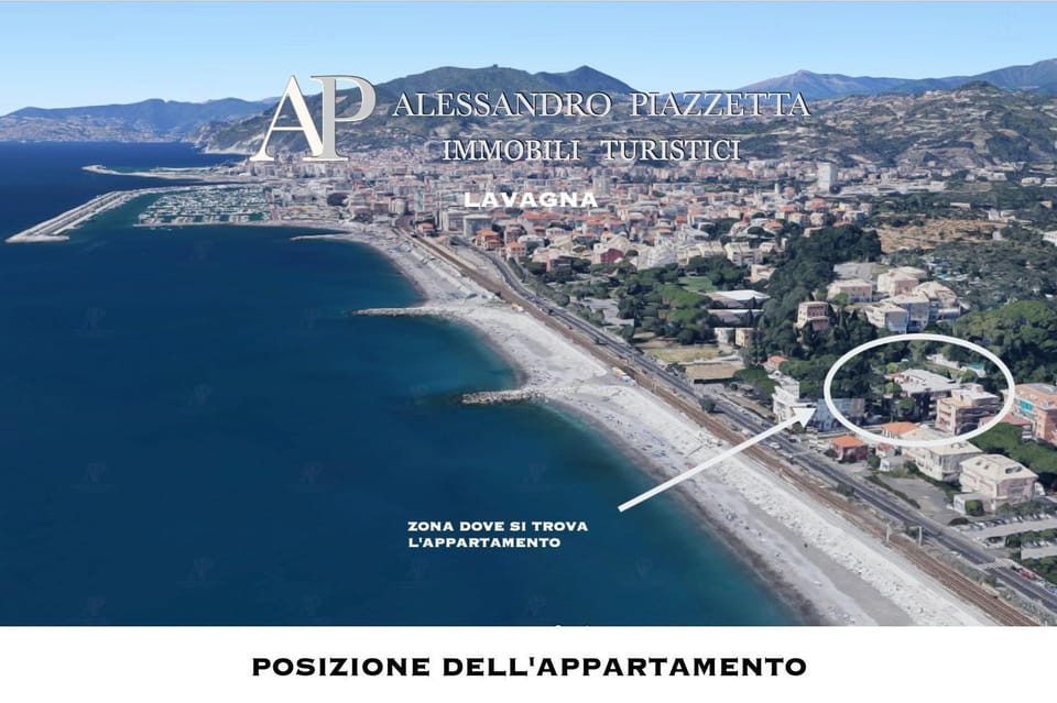 Neighbourhood, Bird's eye view, Beach, City view