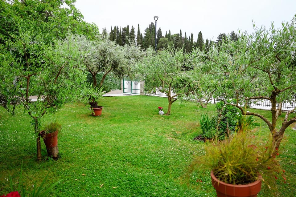 Apartments LungoMare Apartment in Kotor Municipality