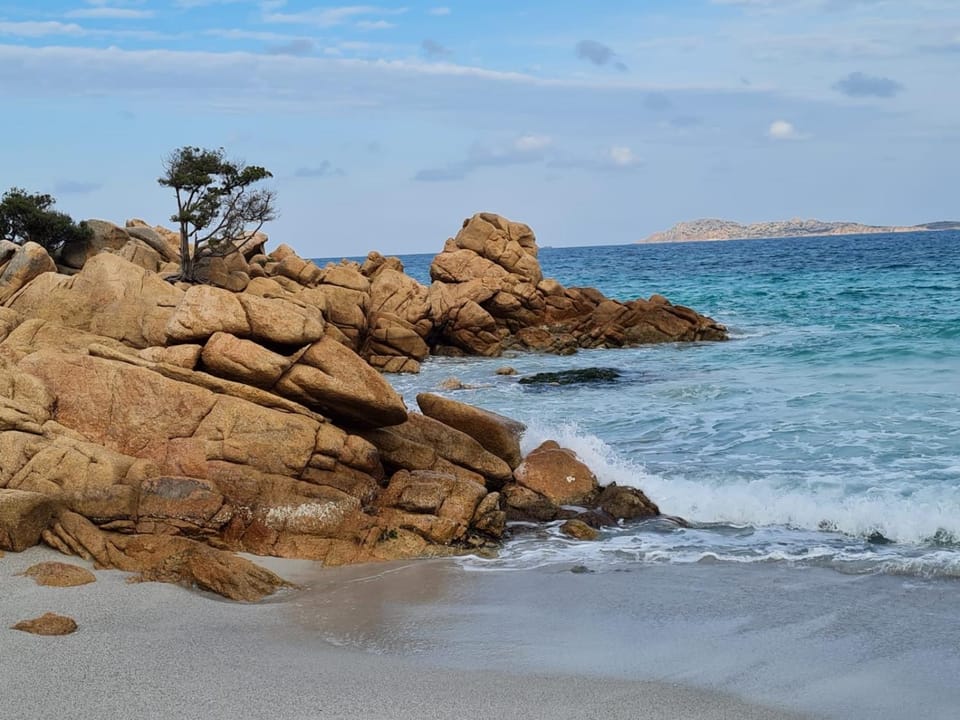 Natural landscape