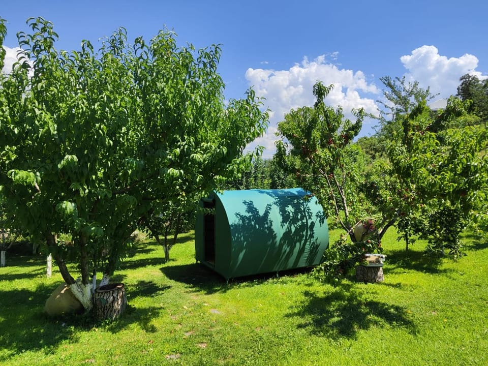 Garden, Garden view